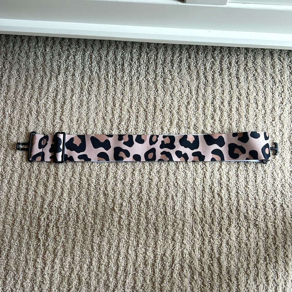 ACE equestrian belt